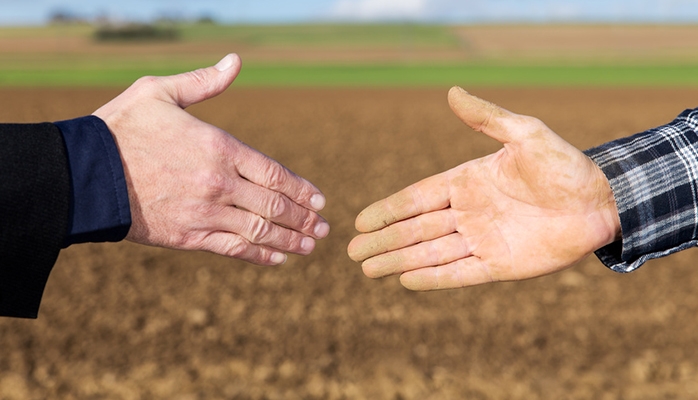 La mise à disposition du bail rural