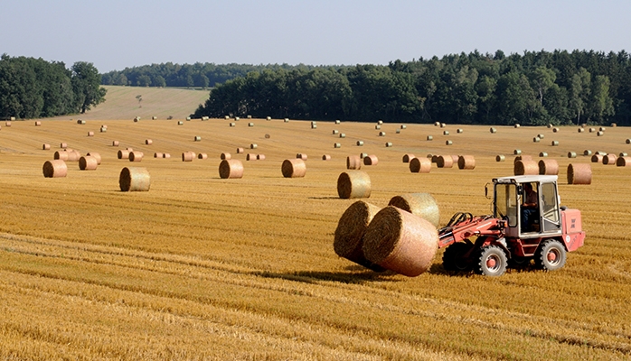 Résiliation du bail rural cédé