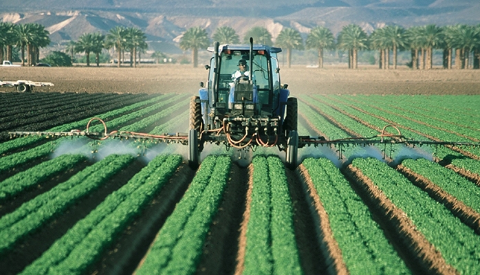 Réserves d'eau, haies... Le futur projet de loi agricole